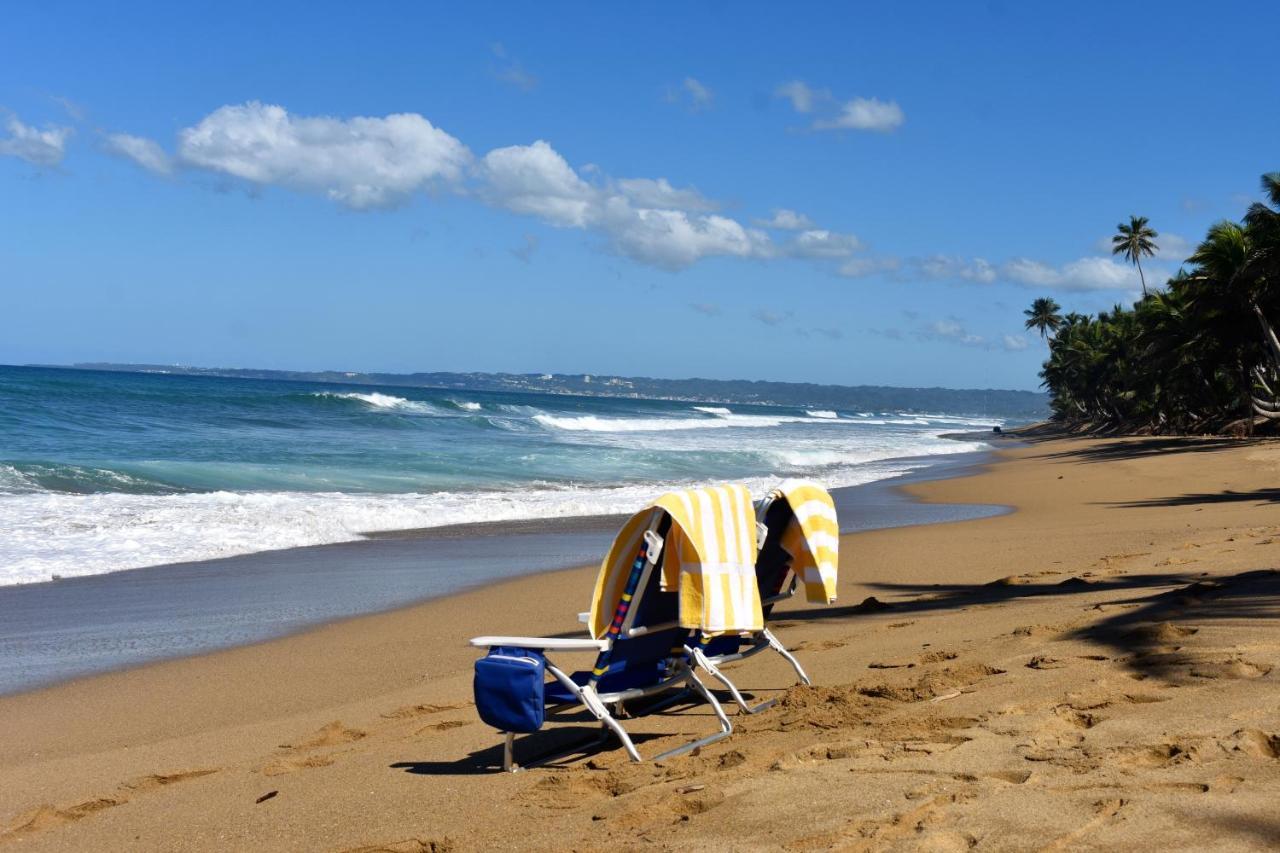 The Beach Pad Рінкон Екстер'єр фото